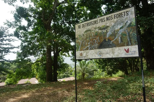 Ne détruisons pas nos forêts!