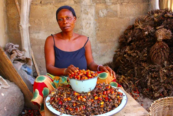 Les différents paysages du Togo apportent aussi une diversité d'aliments.