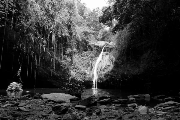 Des cascades à la savane, un petit pays qui a tant à offrir.